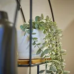 아파트 Riverside Park 3 *